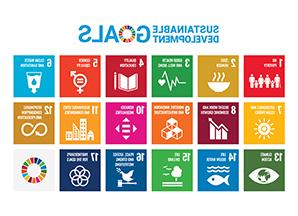 UN's Sustainable Development Goals icon chart
